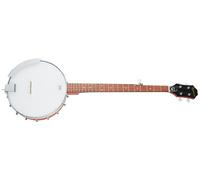 Epiphone MB-100