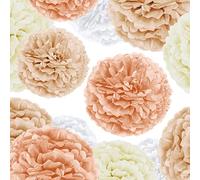 EpiqueOne Kit de fête Pompons en papier de soie 20 pièces - Ajoutez une touche de blanc, d'ivoire, de pêche et de champagne à vos célébrations !