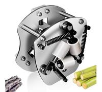 Éplucheur de canne à sucre en acier inoxydable avec lame remplaçable et dispositif fixe pour la maison, les magasins de fruits et les snack-bars
