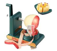 Éplucheur et trancheuse de fruits à manivelle en acier inoxydable, Machine multifonction pour pommes de terre, mangue et légumes