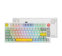 EPOMAKER TH80 Pro 75% Hotswap RGB Triple Mode Clavier Mécanique avec PBT MDA Profil Théorie Keycap, Batterie de 4000mah, Contrôle par Bouton pour Win/Mac/PS4/PS5/Xbox (Budgerigar Switch)