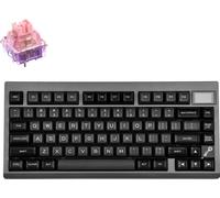 EPOMAKER TH80 PRO V2 Clavier mécanique avec écran RGB. Clavier de jeu Gasket Bluetooth/2,4 GHz/USB-C, Flamingo Switch