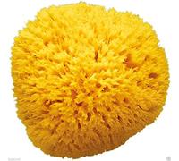 Éponge 100% naturelle de la Méditerranée Premium Bellini "Honeycomb" N° 10 pour le bébé enfant et des adultes