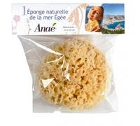 Eponge De Mer