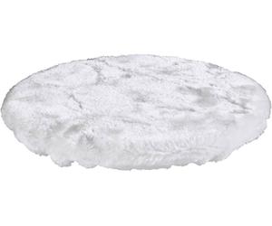 Eponge de polissage Holzmann Maschinen EZS150PROPH 150 mm 1 pc(s)