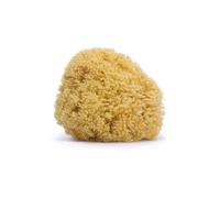 Eponge Fibre Naturelle