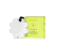 Verveine de coco avec fleurs blanches en boîte éponge 1 pc