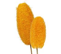 Éponge luffa Décoration Grande sur tige Jaune d'or 25 pièces