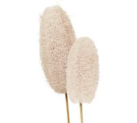 Eponge luffa fleur séchée sur tige blanchie 25 pièces - Décoration, art floral, art funéraire
