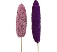 Eponge luffa sur tige Grande décoration naturelle Rose Erika, décoration sèche pour vases & arrangements, 25 pièces 8cm-30cm