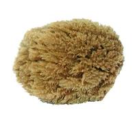 EPONGE MER NATURELLE 15-17 CM Outifrance