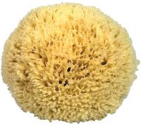 Éponge naturelle de la Méditerranée pour le corps, non synthétique (11-12 CM avec cordon)