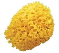 Eponge Naturelle - - Mixte - Jaune - Confort - Sécurité
