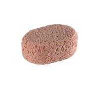 éponge Synthétique Ovale Hydrograttante Générique