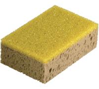 EPONGE TALIAPLAST HYDROGRATTANTE 18X12X6CM - 400206