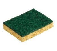 Éponge végétale Abrasive 120 x 90 x 26 mm - OUTIL PARFAIT -