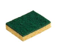 Éponge végétale Abrasive 120 x 90 x 26 mm - OUTIL PARFAIT -