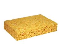 Eponge végétale pour tableau N.6