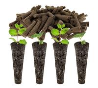 Éponges de culture 100 pcs plantes hydroponiques poussent des éponges supplément graines gousses for système de jardin hydroponique intérieur croissance racines outil culture l'eau(Brown 100pcs)