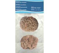 Éponges de mer naturelles pour artistes et professionnels - Lot de 2 - Tailles 12,4 à 1,5 m - Parfaites pour la peinture murale, la décoration, la texturation, le marbrage, les fausses finitions, les