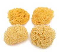 Éponges naturelles de l'océan | Éponges de mer douces et jaunes pour le bain des nouveau-nés de 0 à 8 mois | Nettoyage du visage, pour loisirs créatifs - Taille S (6,5-8,5 cm) - Lot de 4 pièces