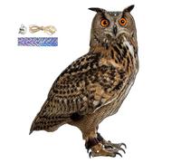 Épouvantail répulsif pour oiseaux - Pendentif épouvantail en forme de chouette - Appareil réaliste pour effrayer les oiseaux avec clochette, pour effrayer les oiseaux