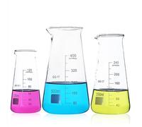 Éprouvette graduée en verre, Béchers coniques de laboratoire en verre borosilicaté avec bec verseur 125 ml/250 ml/500 ml(500ml)