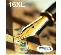 Epson 16XL Multipack Easy Mail Packaging - Pack de 4 - 32.4 ml - XL - noir, jaune, cyan, magenta - original - blister - cartouche d'encre - pour WorkForce WF-2010, 2510, 2520, 2530, 2540, 2630, 2650, 