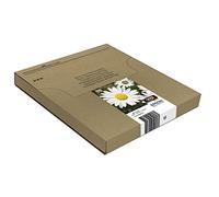 Epson 18 Daisy Genuine Multipack, 4-Colours Ink Cartridges, Claria Home Ink