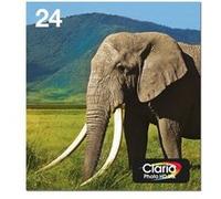 Epson 24 Multipack Easy Mail Packaging - Pack de 6 - 29.1 ml - noir, jaune, cyan, magenta, magenta clair, cyan clair - original - boîte - cartouche d'encre - pour Expression Photo XP-55, XP-750, XP-76
