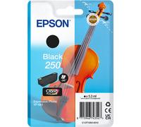 Epson 250 (C13T16N14010) - Noir - Cartouche d'encre