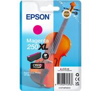 Epson Cartouche d'encre 250XL (C13T16P34010) - Magenta - Grande capacité