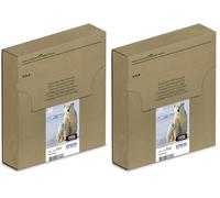 Epson 26 Polar Bear Black Genuine, Claria Premium Ink Cartridge (Lot de 2)