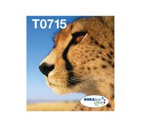 EPSON 2LB EasyMail MP Cheetah DURABrite Ultra CMYK