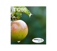 EPSON 2LB T129 Durabrite Ultra Ink EasyMail multipack