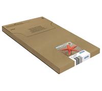 EPSON 603XL Multipack EasyMail 4 Couleurs - Toner Imprimante - Noir, Jaune, Cyan