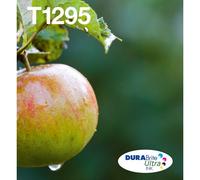Epson Apple Encre EasyMail DURABrite Ultra multipack 4 couleurs Pomme T129