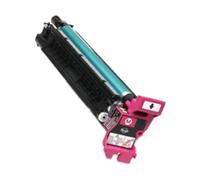 Epson C13S051176 - Conducteur photographique