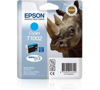 Epson C13T10024020 - Accessoire