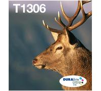 Epson C13T13064510 T1306 Cartouche d'encre MultiPack C,M,Y XL EasyMail 3x10.1ml VE=3 pour Epson Stylus BX 320 SX 525 WF 3500