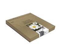 Epson C13T18064511 EasyMail multipack Noir, Jaune - cartouches d'encre (Epson, Noir, Cyan, Magenta, Jaune, Jet d'encre, Boîte)