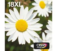 Epson Daisy Multipack EasyMail "Pâquerette" 18XL - Encre Claria Home N,C,M,J