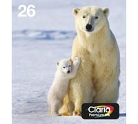 Epson Polar bear Cartouche "Ours Polaire" - Encre Claria Premium MP