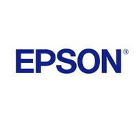 Epson C13T33424012/33 - Cartouche d'encre cyan, 300 pages