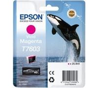 Epson C13T76034N10, Encre
