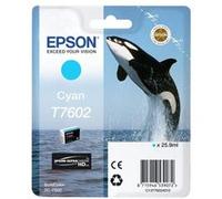 EPSON Cartouche d'encre T7602 Cyan - Orque (C13T76024010)