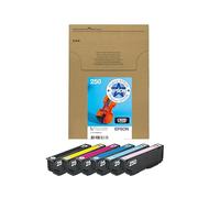 Epson Cartouches d’Encre d’Origine Multipack 6 Couleurs Violon 250 | EasyMail - Emballage Plastique Réduit | Noir, Cyan, Cyan Clair, Magenta, Magenta Clair, Jaune | 3 x 5,3 ML, 3 x 4,8 ML