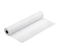 Epson Crystal Clear Film 17 x 30.5m (for SP WT7900)