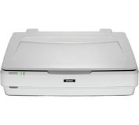 Epson Expression 13000XL - Flatbed Scanner - A3-2400 dpi x 4800 dpi - USB 2.0