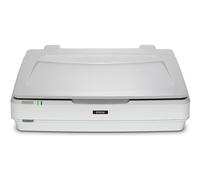 Epson Expression 13000XL Pro Numérisation à plat 2400 x 4800 DPI A3 Gris, Blanc